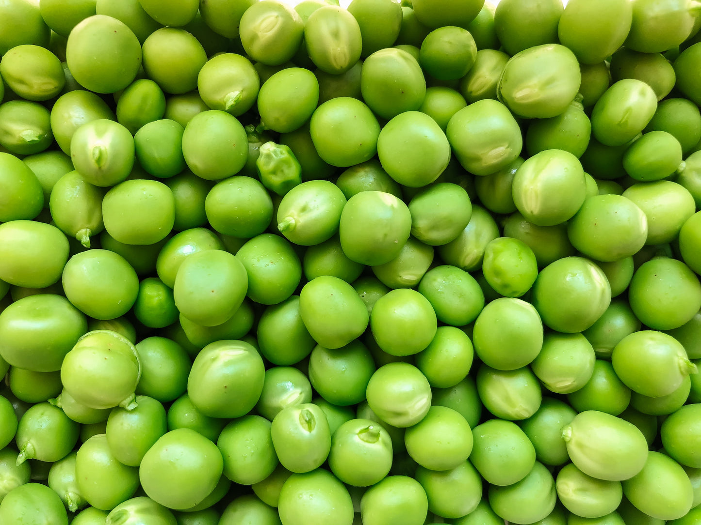 Cibáre Foods