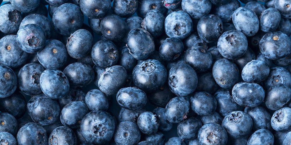 Top 10 Fun Facts About Blueberries You Need to Know