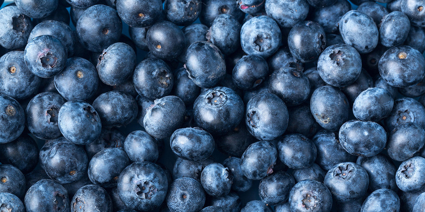 Top 10 Fun Facts About Blueberries You Need to Know